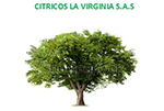 cítricoslavirginiaima